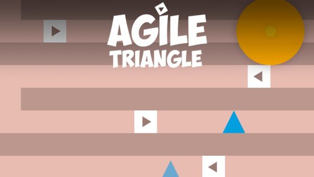 Agile Triangle